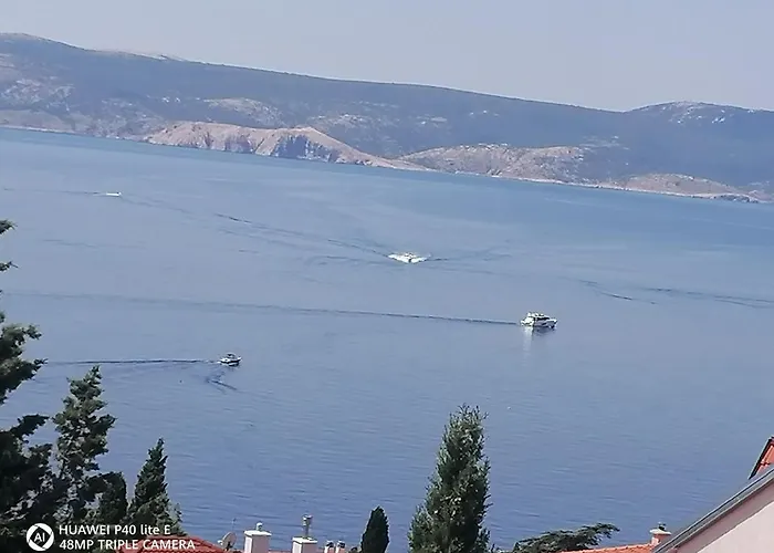 Ines ノヴィ・ヴィノドロスキー